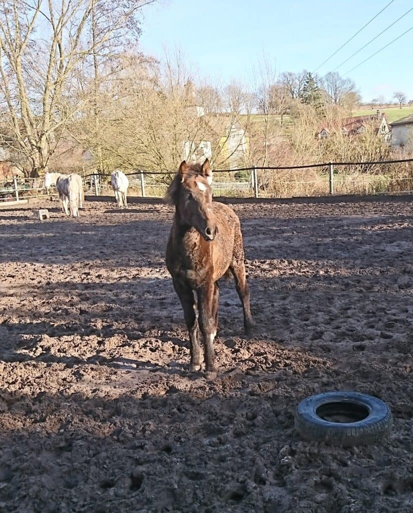 jdira mit süßem Blick